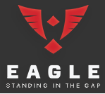 Eagle Security Group